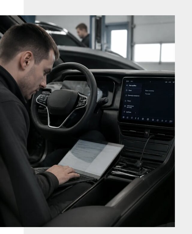 Русификация автомобилей BYD под ключ для всех моделей в Железногорске