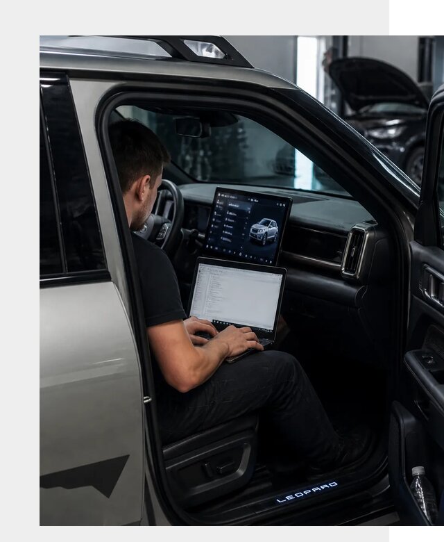 Русификация BYD Leopard 3 в Железногорске по цене от 20571 р. | ФастМобиль-Жлр